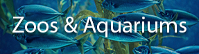 Zoos & Aquariums